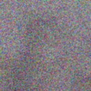 First cat image denoising step