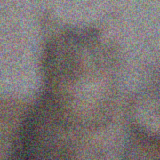 Second cat image denoising step